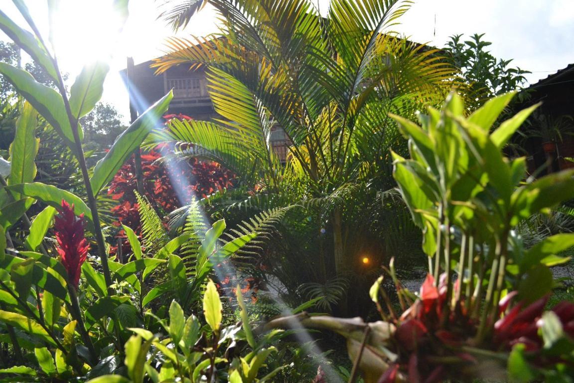 Mindo Green House Exterior foto